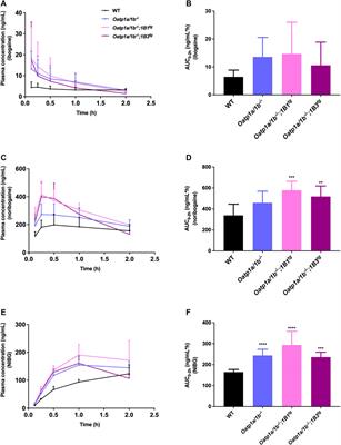 Drug Transporters ABCB1 (P-gp) and OATP, but not Drug-Metabolizing Enzyme CYP3A4, Affect the Pharmacokinetics of the Psychoactive Alkaloid Ibogaine and its Metabolites